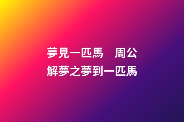 夢見一匹馬　周公解夢之夢到一匹馬